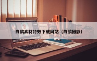东至白鹅素材特效下载网站（白鹅摄影）